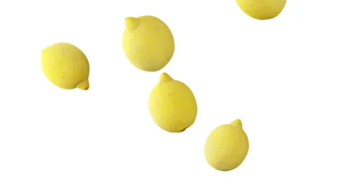 Lemons falling down in slow motion on white background. Stock Footage 252362161