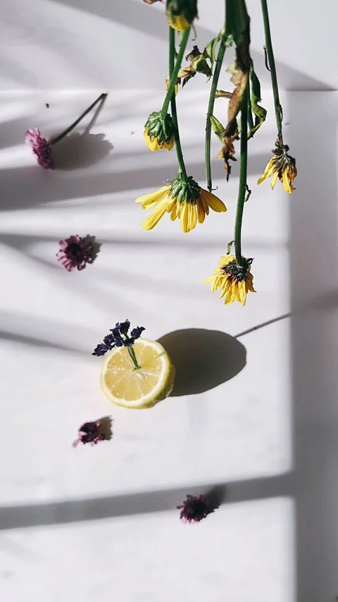 Lemons, Flowers, White Background, Still Life, Citrus, Floral Arrangement Video stock 267167463