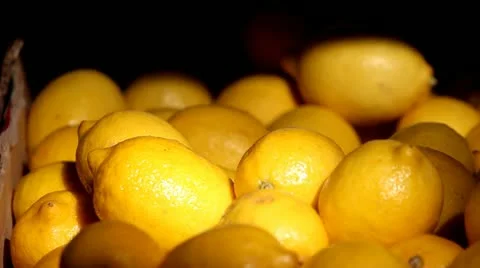 Lemons Stock Footage 12202303