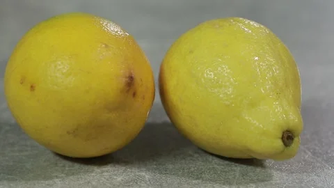 Lemons Video stock 154764320