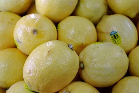 Lemons Fresh Fruit Stockfoto's