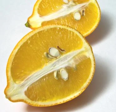 Lemons, fruit, on a light background Stock-Fotos