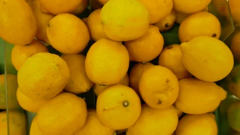 Lemons Fruits Stock Footage 158909488