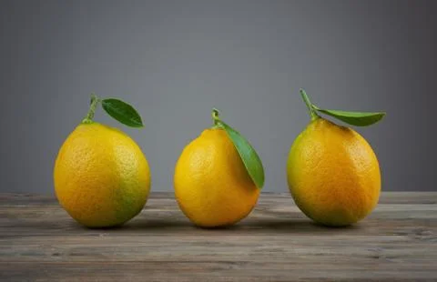 Lemons with green leafs Stock Photos
