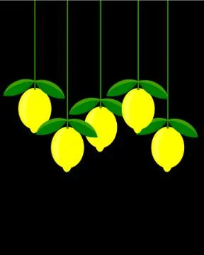 Lemons in group hanging over black background Stock Illustration