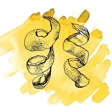 Lemons, hand-drawn. Vector sketch of lemons with watercolor texture on a white Stock Illustration