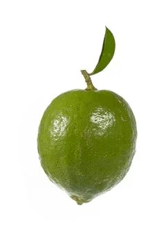 Lemons Hanging on a Lemon tree Foto stock