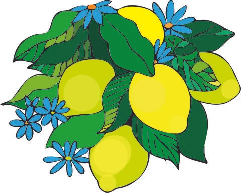 Lemons Stock Illustration