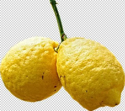 Lemons isolated Stock Illustration