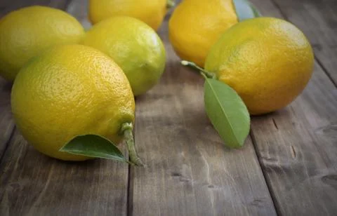 Lemons with leafs Stock Photos