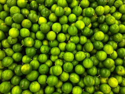 Lemons - limones Stock Photos