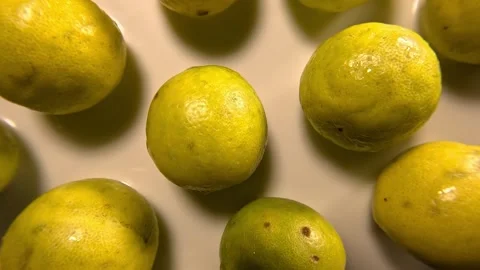 Lemons on Milk Stock-Footage 284728642