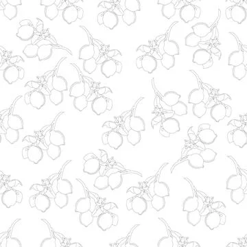 Lemons pattern Stock Illustration
