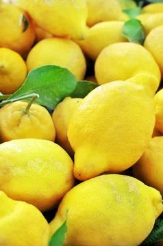 Lemons 库存照片