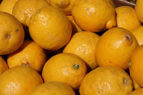 Lemons Stock Photos
