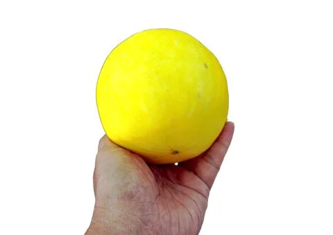 The lemons Foto stock