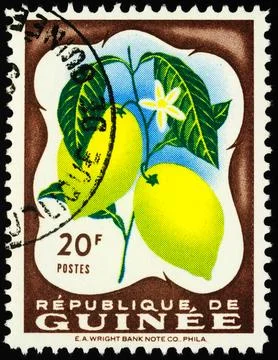 Lemons on postage stamp Stock-Fotos