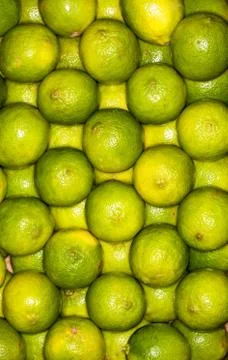 Lemons regular ordered pile background. Macro. Yellow and green. Stock-Fotos