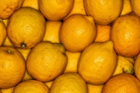 Lemons regular ordered pile background. Macro detailed image. Stock Photos
