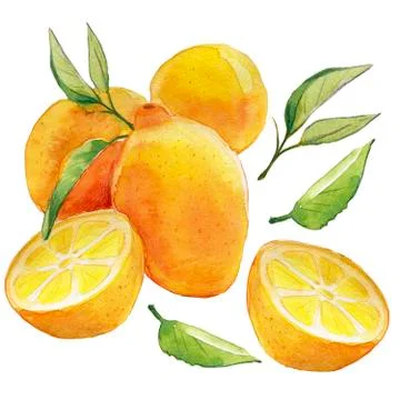 Lemons Seamless Pattern. Watercolor square frame of lemons and branches. Stock Illustration