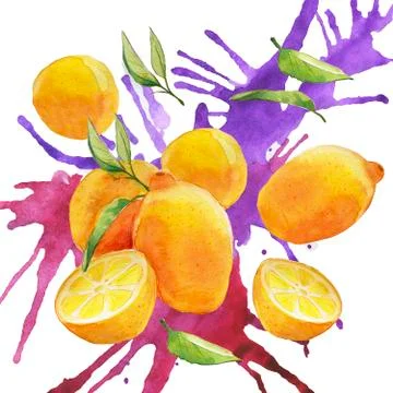 Lemons Seamless Pattern. Watercolor square frame of lemons and branches. Illustrazione stock