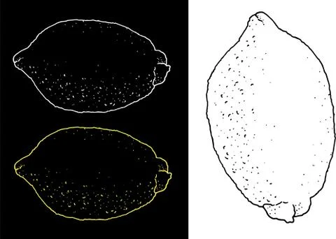 Lemons set of multi-colored yellow and white outlines on a contrasting Stock Illustration