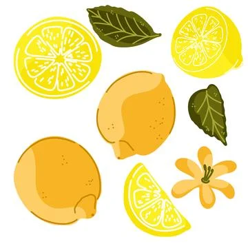 Lemons. A set of vintage hand-drawn illustrations. Cozy Mediterranean cartoon Stock Illustration