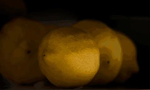 Lemons in shade side view Stock Illustration