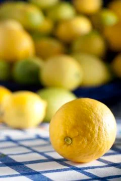 Lemons on a Table Stock Photos