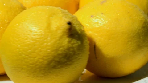 Lemons with water droplets rotating studio lighting 4K Stockbeeldmateriaal 101737805