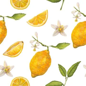 Lemons watercolor seamless pattern. Botanical wallpaper Stock Illustration