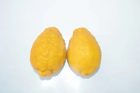 Lemons on a white background Stock Photos