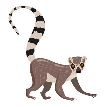 Lemur cute exotical Madagascar monkey animal, ring tailed. Vector illustration Stock Illustration