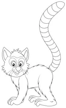 Lemur Stock Illustration