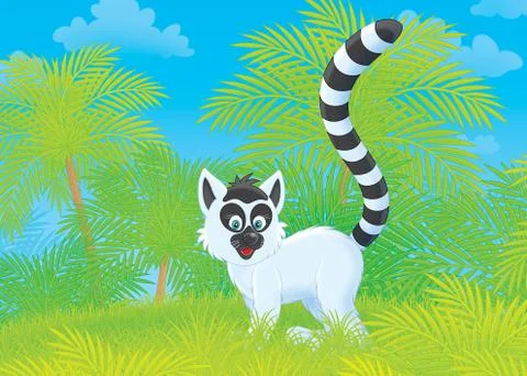 Lemur Stock Illustration