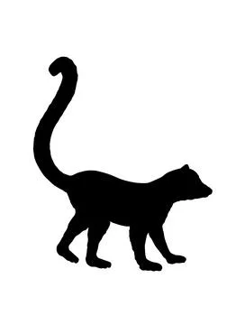 Lemur monkey vector silhouette illustration isolated on white Stock Illustration