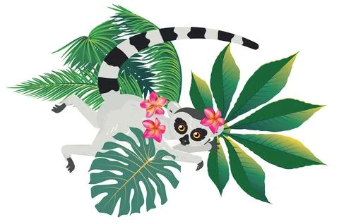 Lemur with tropical plants 스톡 일러스트