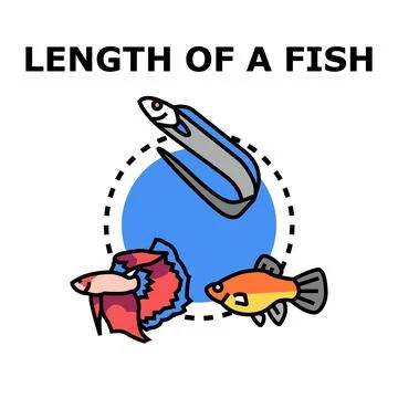 Length of a fish concept line art drawing Stock Illustration