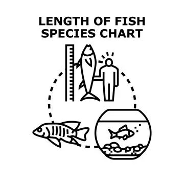 Length of fish species chart comparing sizes Ilustración de archivo