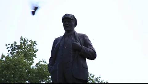 Lenin and the pigeons Stock Footage 7906736