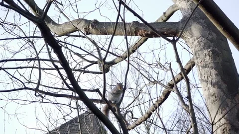 Lenin Paspuel Vídeos de archivo 100144637