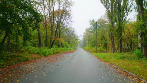 Lenin Street in Chernobyl Exclusion Zone Autumn Footage Stock Footage 316854953