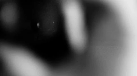 Lens adjustment, black and white Stock Footage 34515516