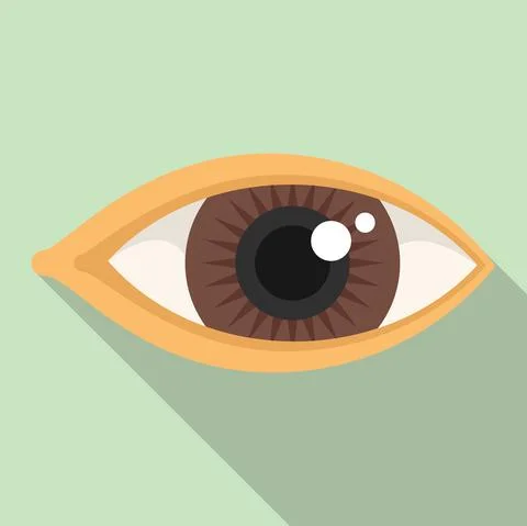 Lens eye icon flat vector. Vision look Stock Illustration
