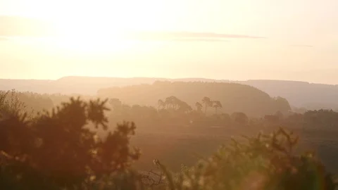Lens flare across the countryside of Devon at sunrise. Stock Footage 102977847