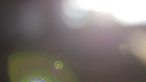 Lens flare, flies flying Видео 83354906