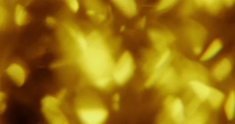 Lens flare Stock Footage 131199309