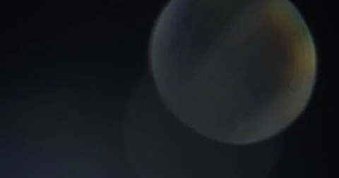 Lens flare, glare of light Stock Footage 292303917