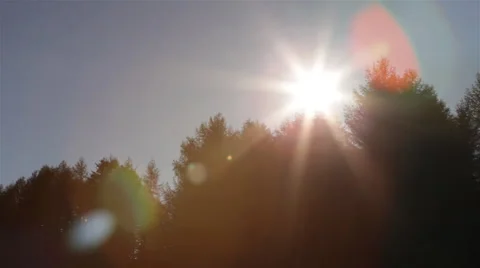 Lens Flare over trees Stock Footage 54259405