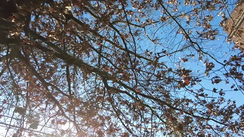 LENS FLARE -  PAN TO CHIURCH Stock Footage 193723569